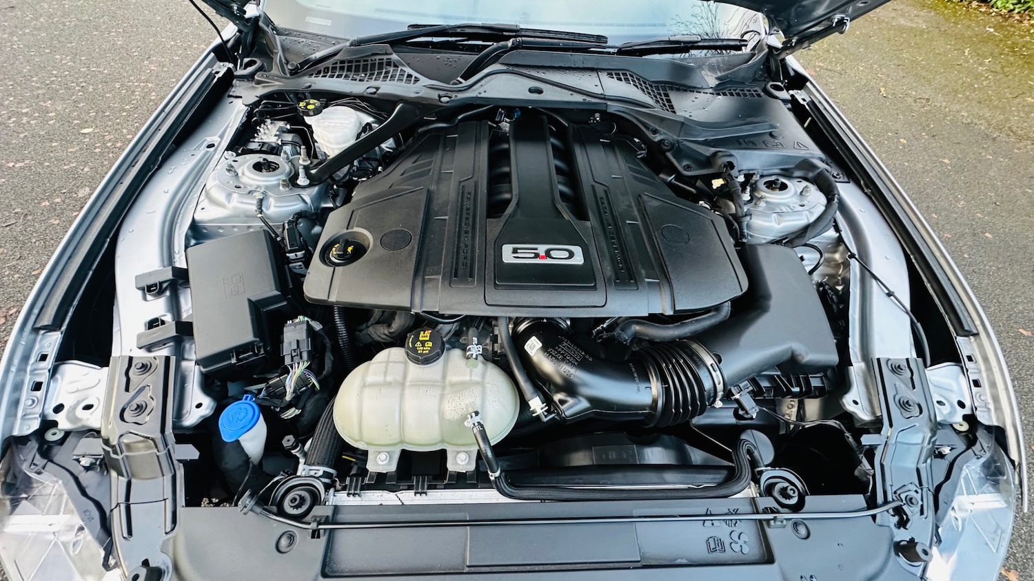 Used Ford Mustang 2022 for sale - 76739014: Photo 21