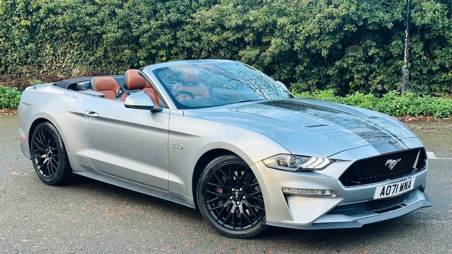 Used Ford Mustang 2022 for sale - 76739014: Photo 24