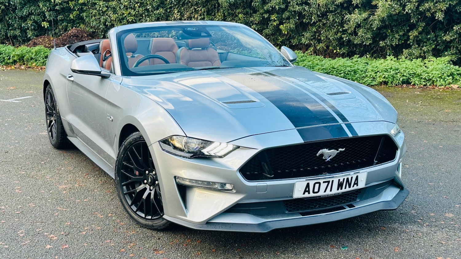 Used Ford Mustang 2022 for sale - 76739014: Photo 26