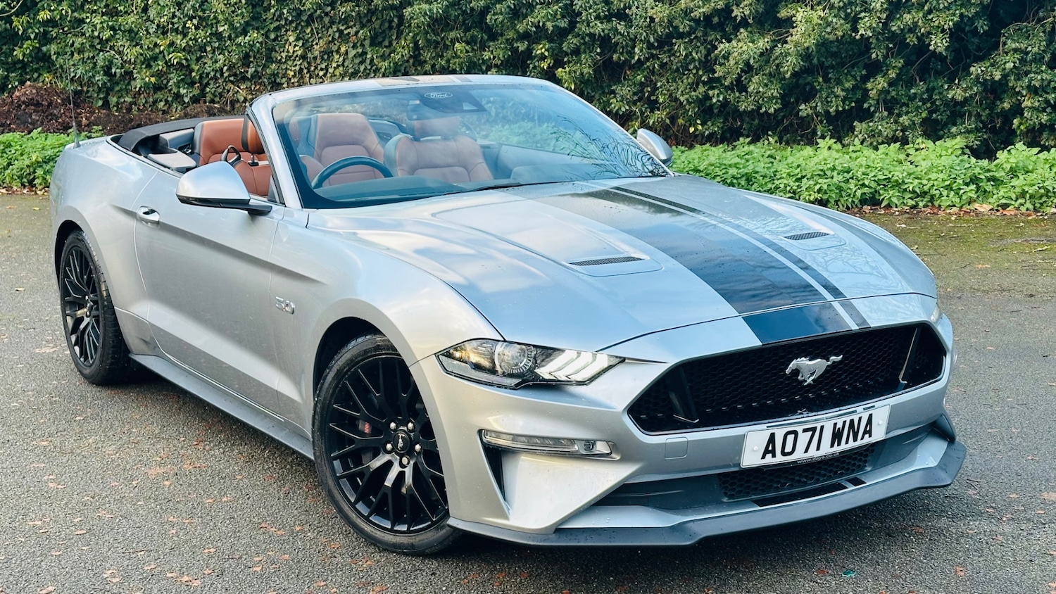 Used Ford Mustang 2022 for sale - 76739014: Photo 3