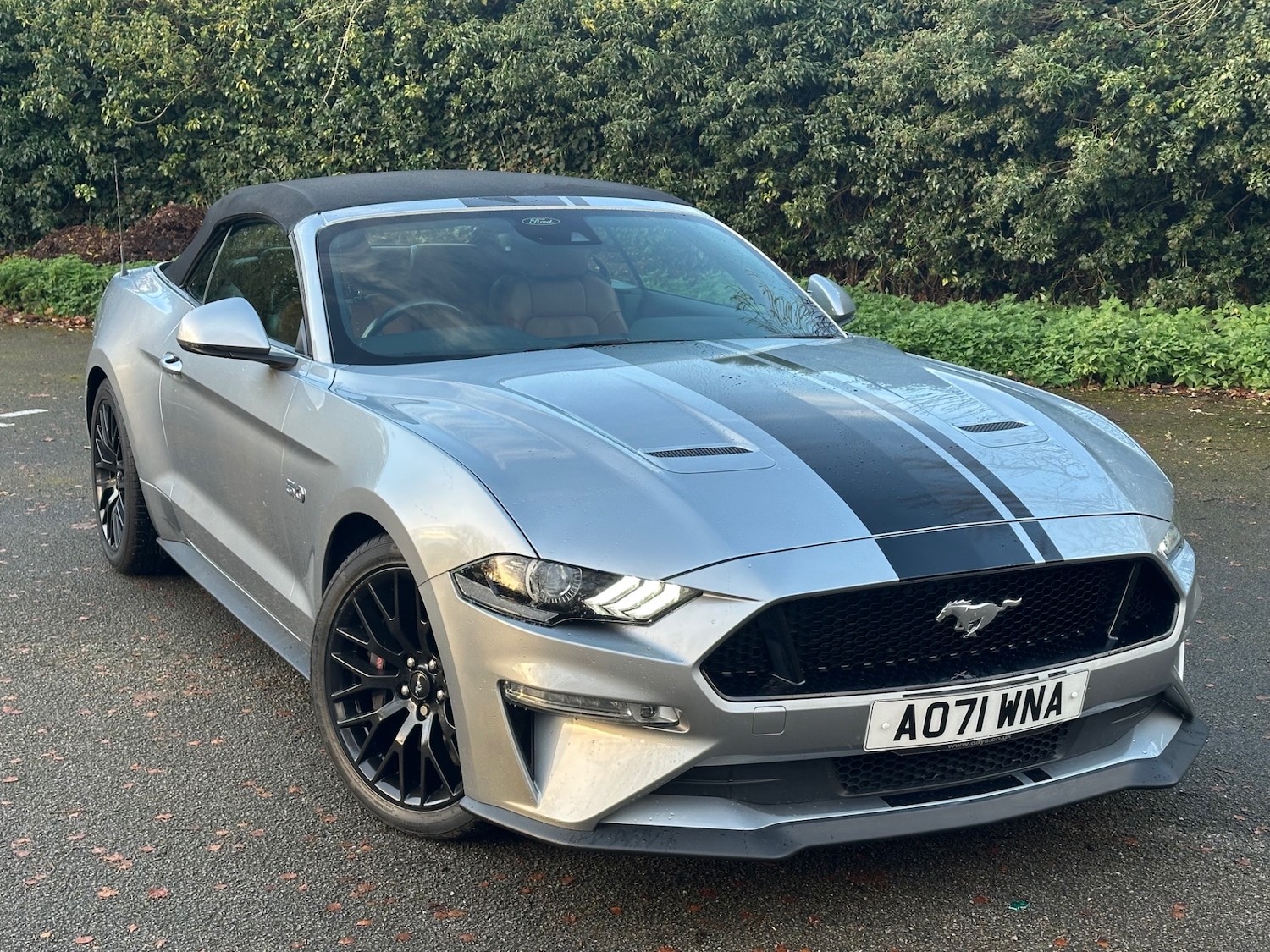 Used Ford Mustang 2022 for sale - 76739014: Photo 32