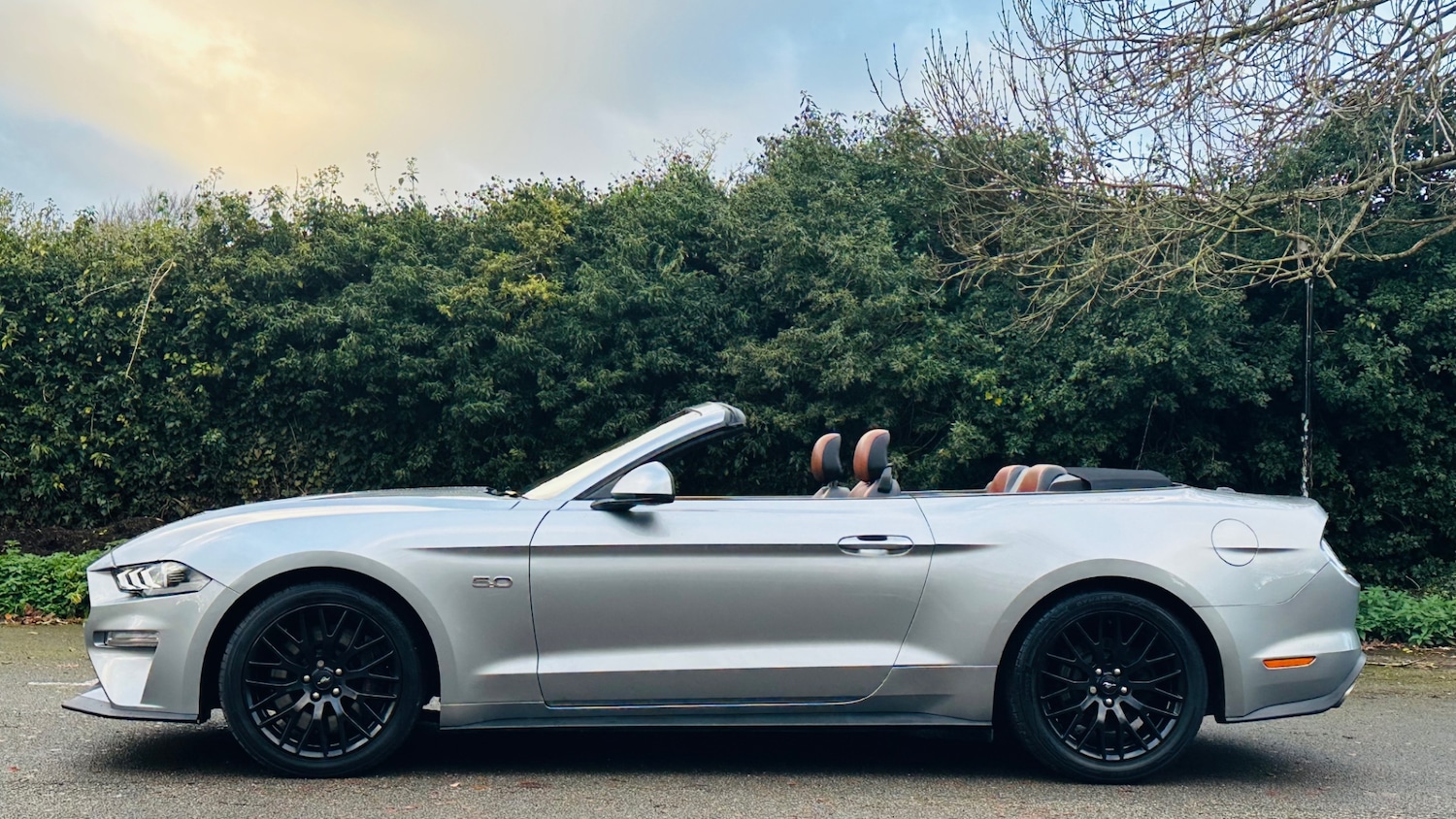 Used Ford Mustang 2022 for sale - 76739014: Photo 6