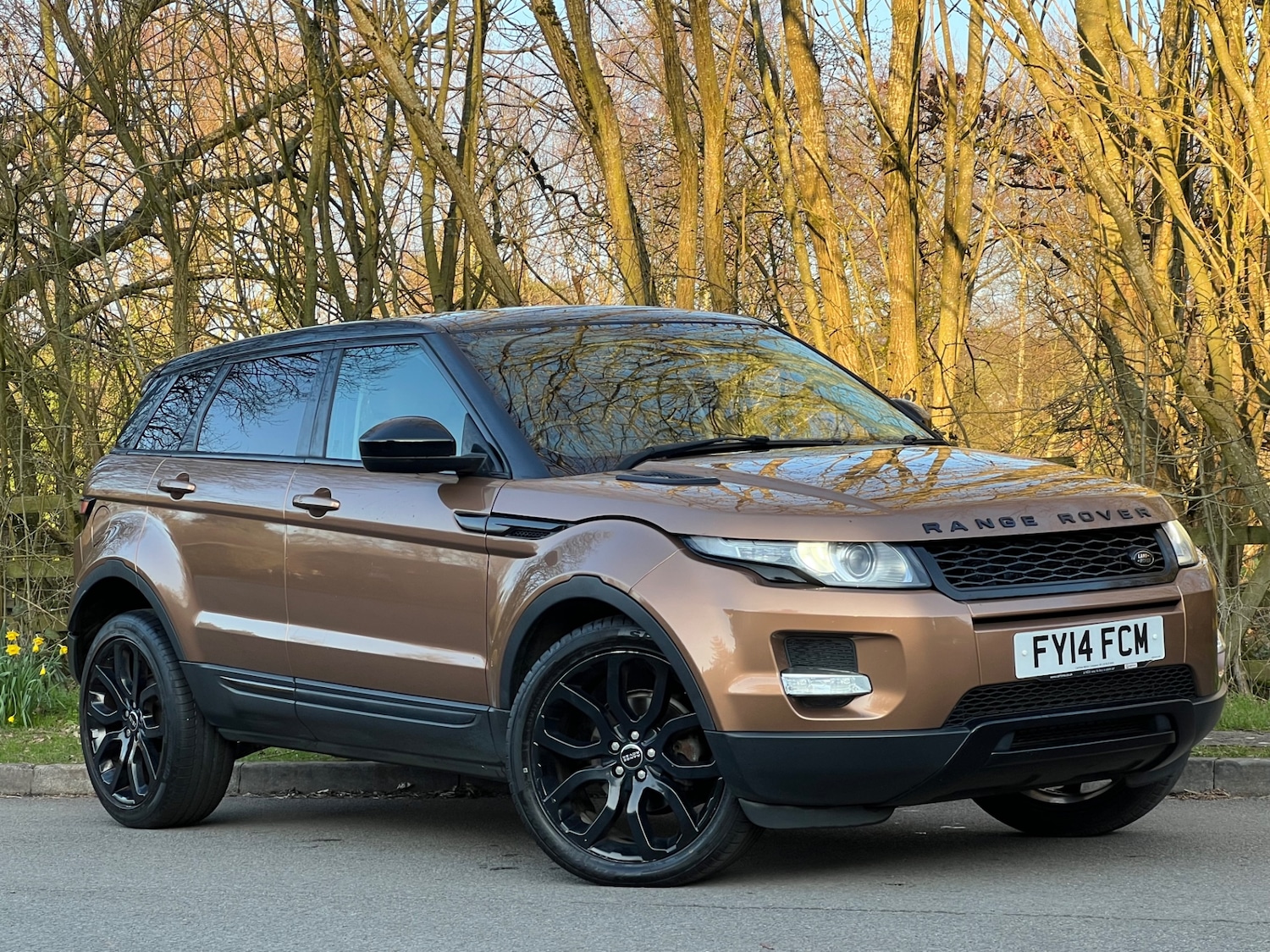 Used Land Rover Range Rover Evoque 2014 for sale - 77750299: Photo 23