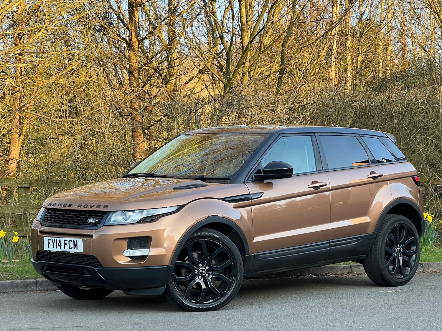 Used Land Rover Range Rover Evoque 2014 for sale - 77750299: Photo 24