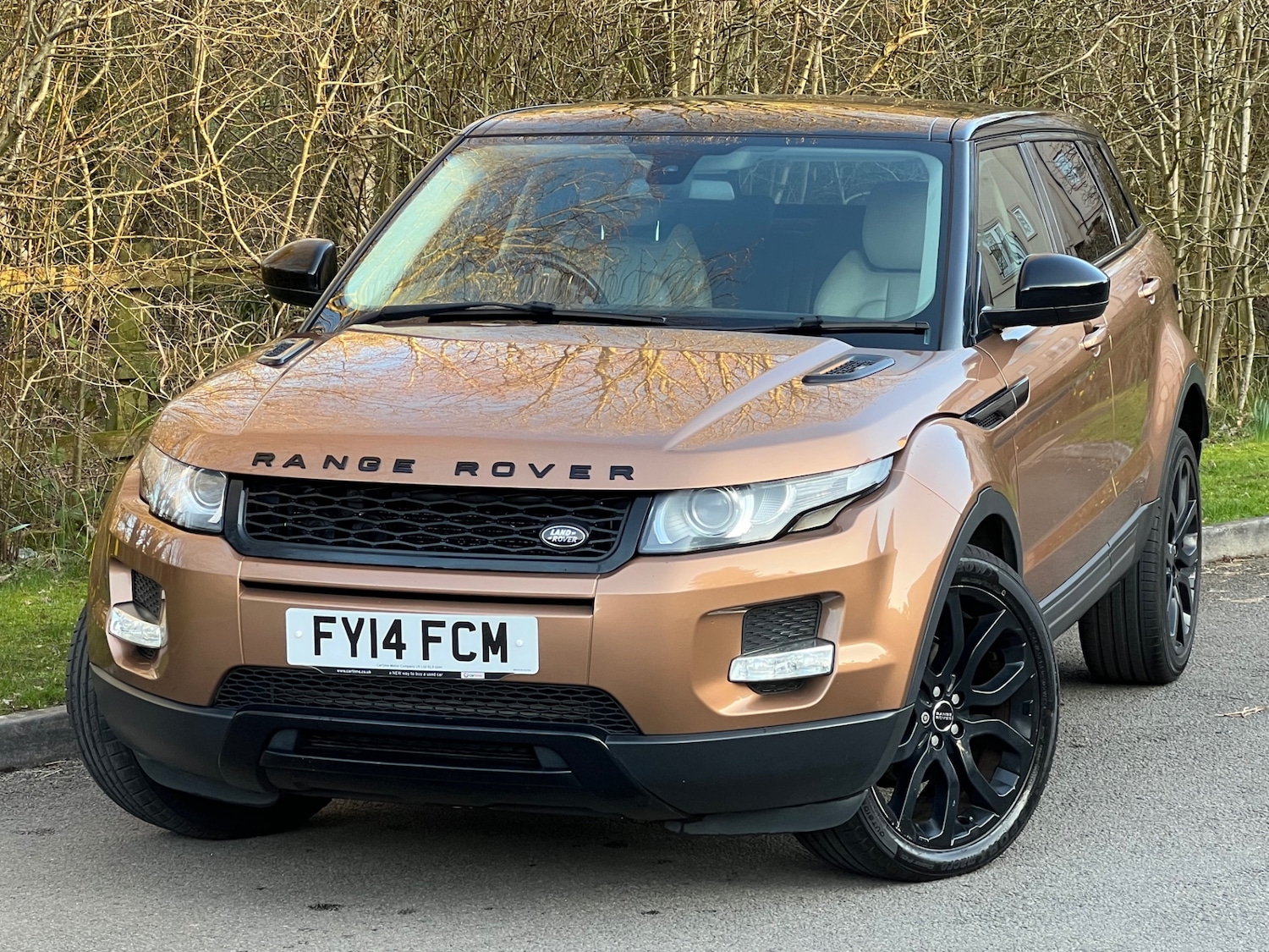 Used Land Rover Range Rover Evoque 2014 for sale - 77750299: Photo 25