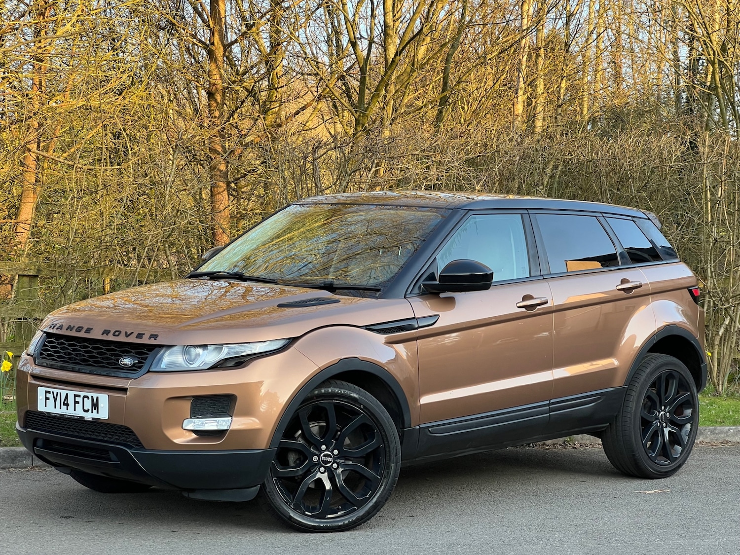 Used Land Rover Range Rover Evoque 2014 for sale - 77750299: Photo 26