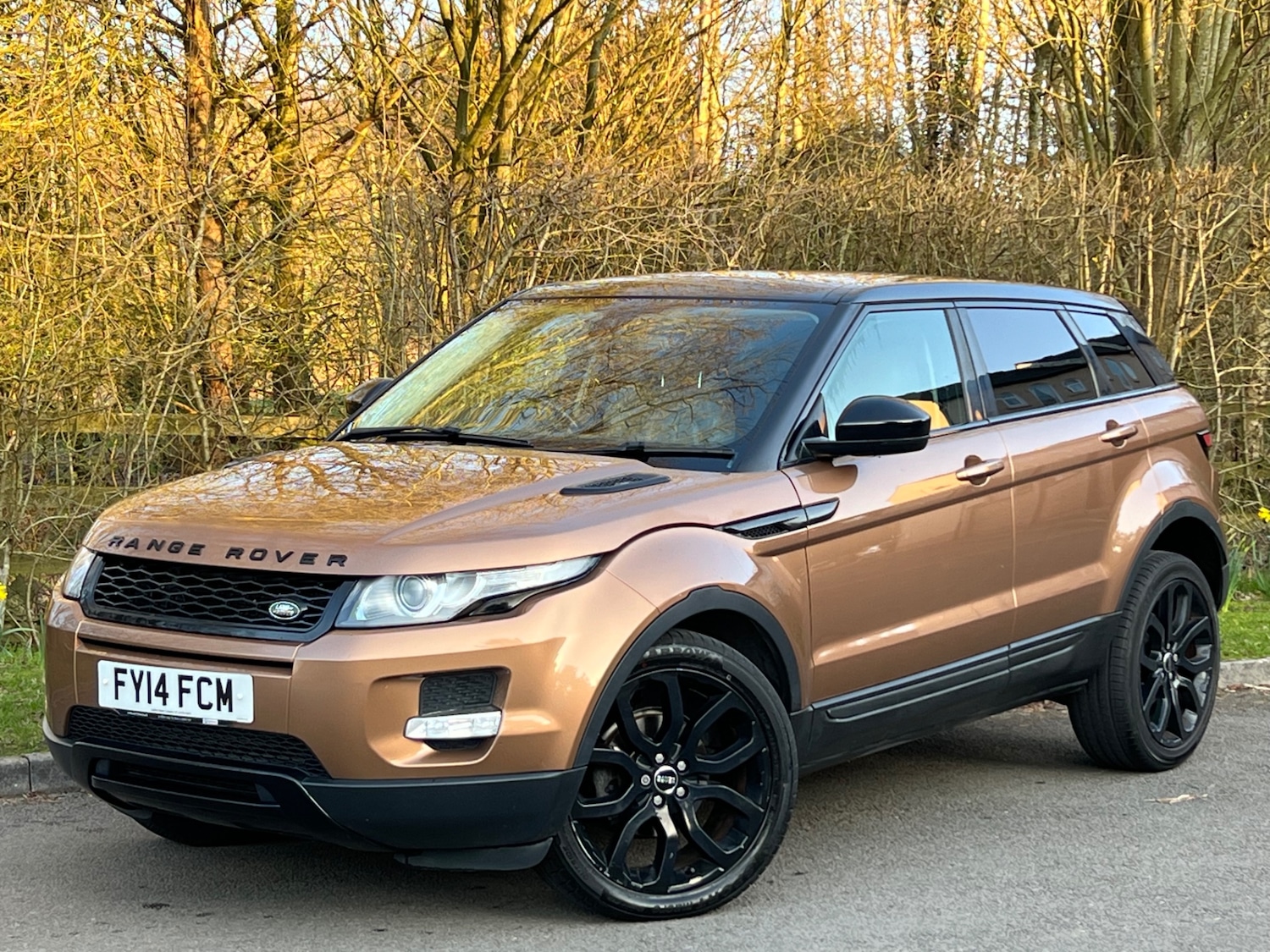 Used Land Rover Range Rover Evoque 2014 for sale - 77750299: Photo 27
