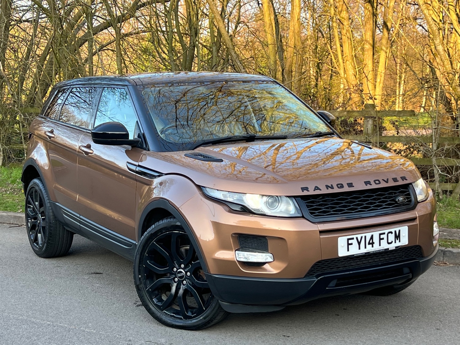 Used Land Rover Range Rover Evoque 2014 for sale - 77750299: Photo 3
