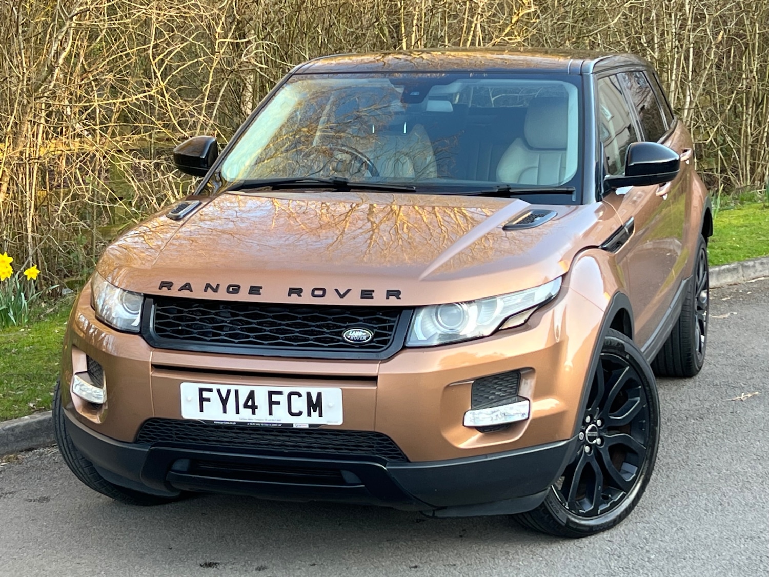 Used Land Rover Range Rover Evoque 2014 for sale - 77750299: Photo 4