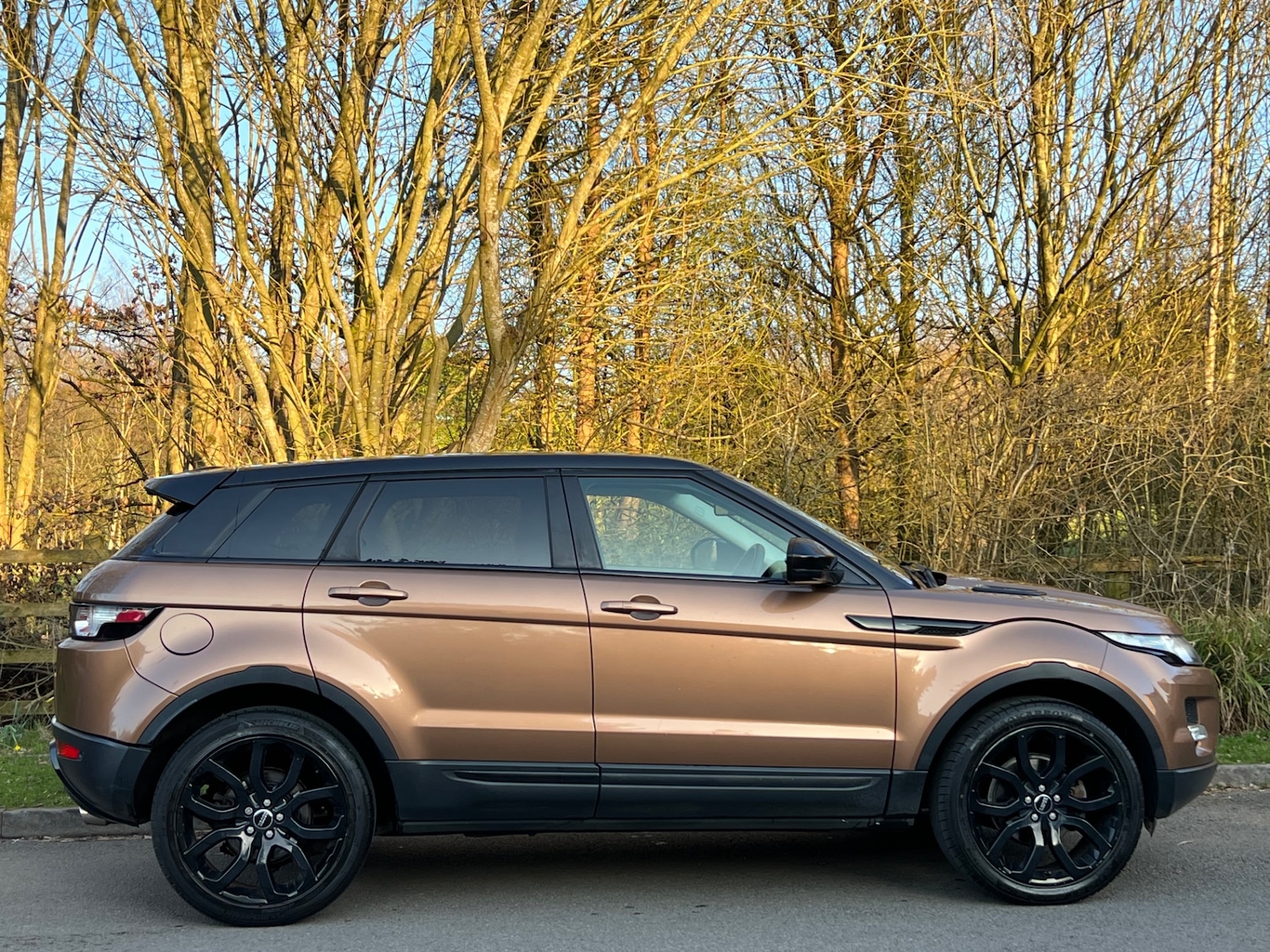 Used Land Rover Range Rover Evoque 2014 for sale - 77750299: Photo 5