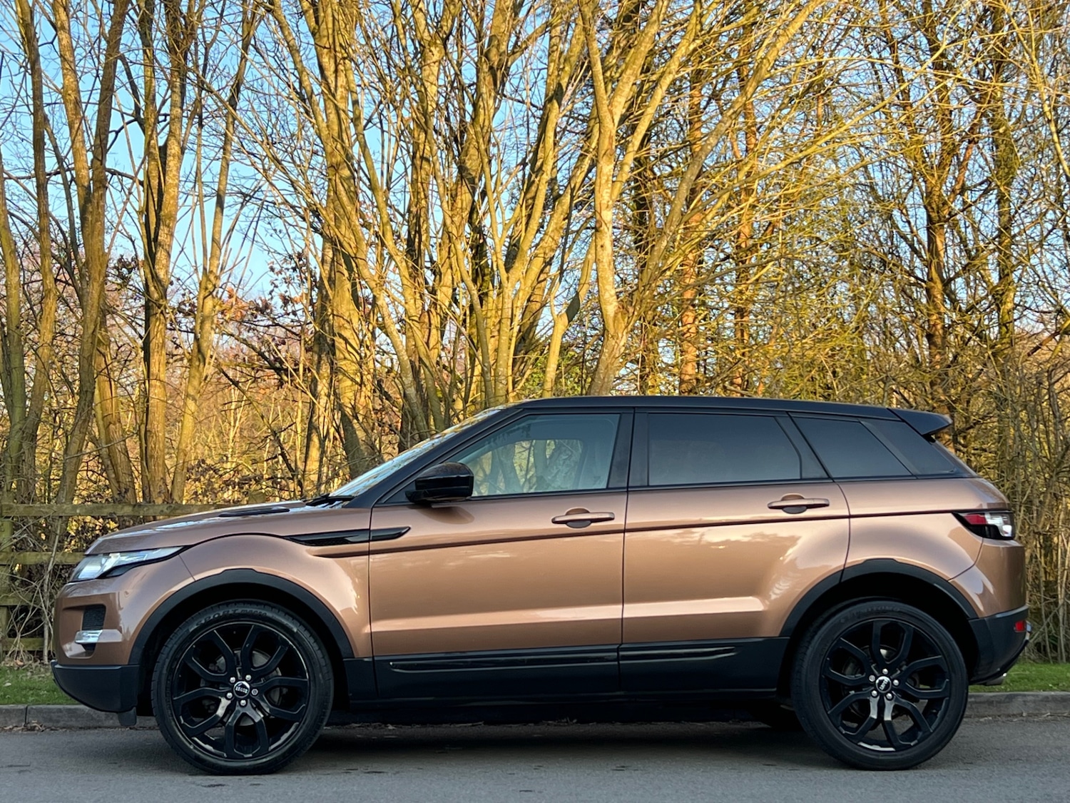 Used Land Rover Range Rover Evoque 2014 for sale - 77750299: Photo 6