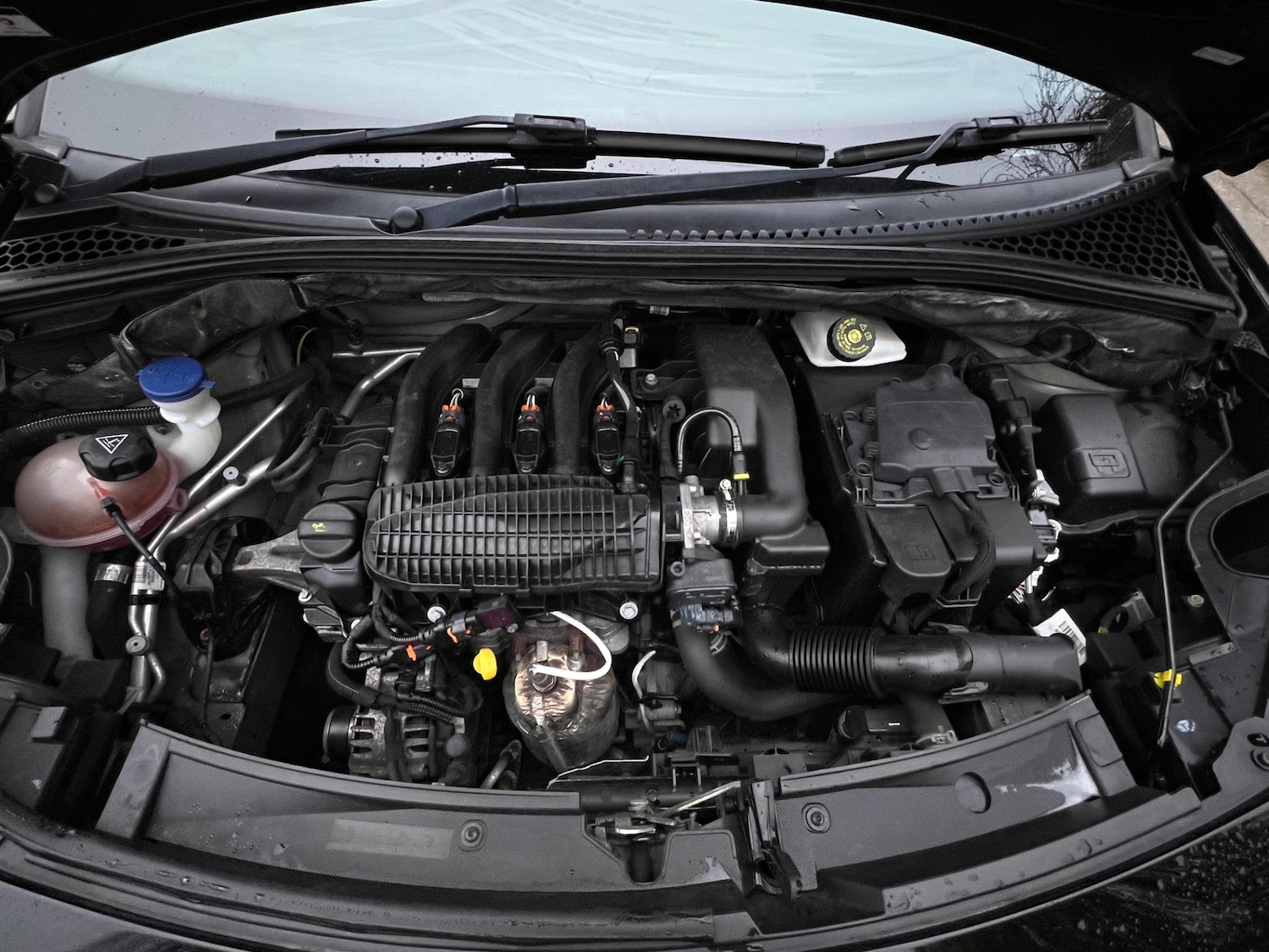 Used DS Automobiles DS 3 2017 for sale - 77792955: Photo 17