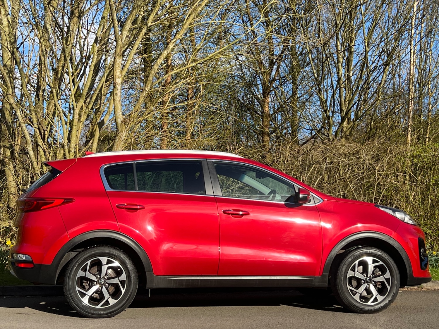 Used Kia Sportage 2020 for sale - 77891765: Photo 5