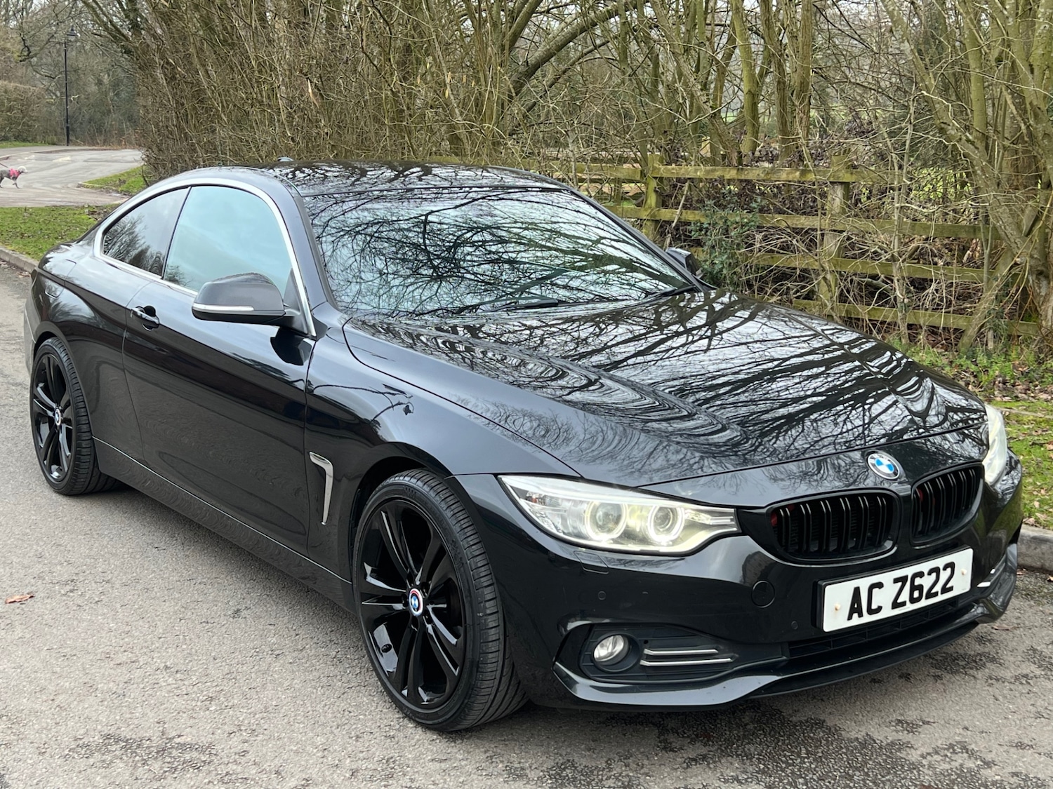 Used BMW 4 Series 2014 for sale - 77329497: Photo 20