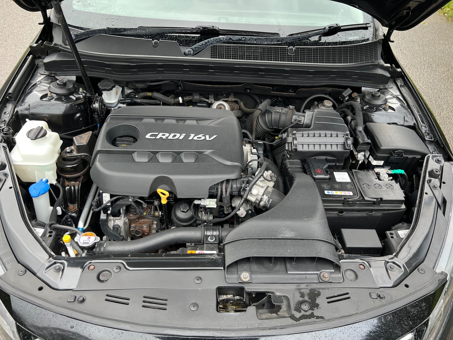 Used Kia Optima 2013 for sale - 77517197: Photo 11