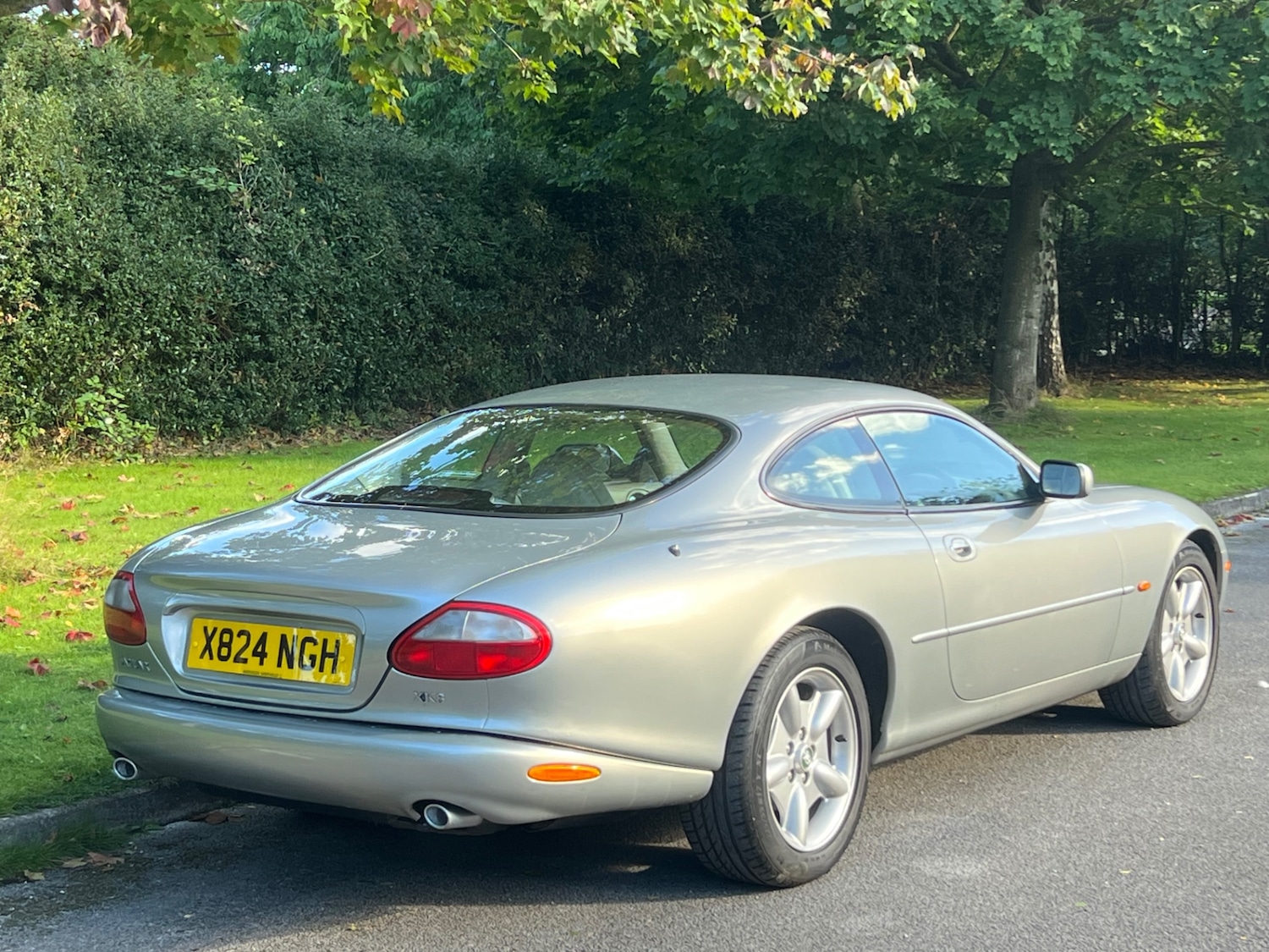 Vehicle 29