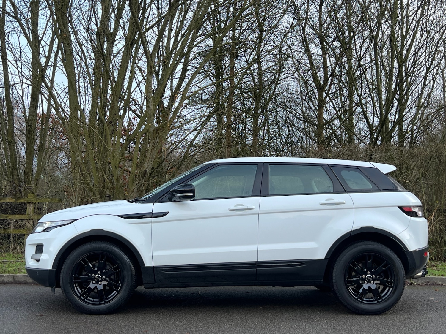 Used Land Rover Range Rover Evoque 2013 for sale - 77020663: Photo 6