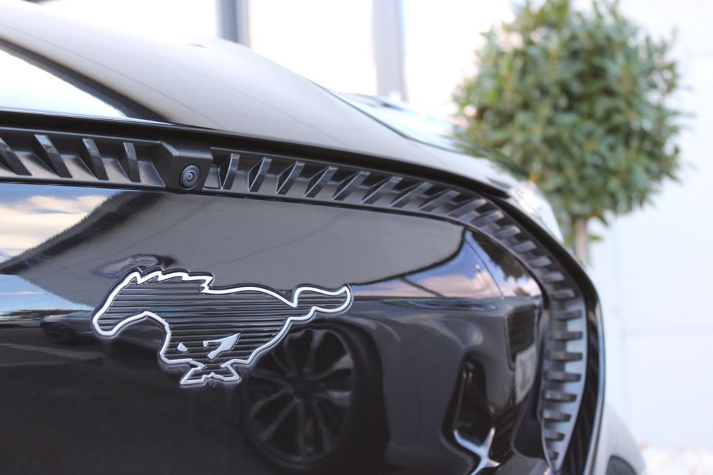 Used Ford Mustang Mach-E 2023 for sale - 75936140: Photo 16