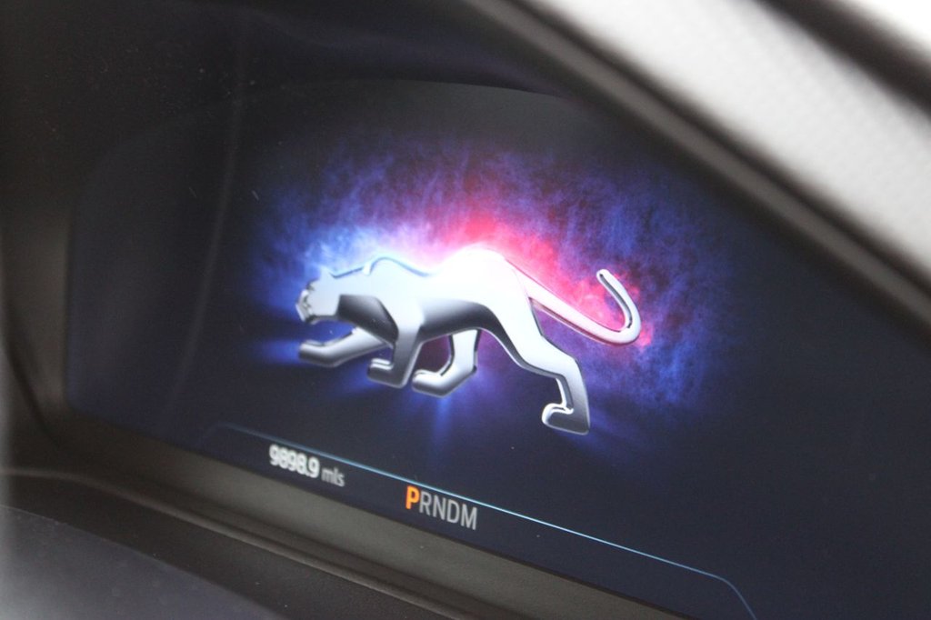 Used Ford Puma 2022 for sale - 78096974: Photo 13