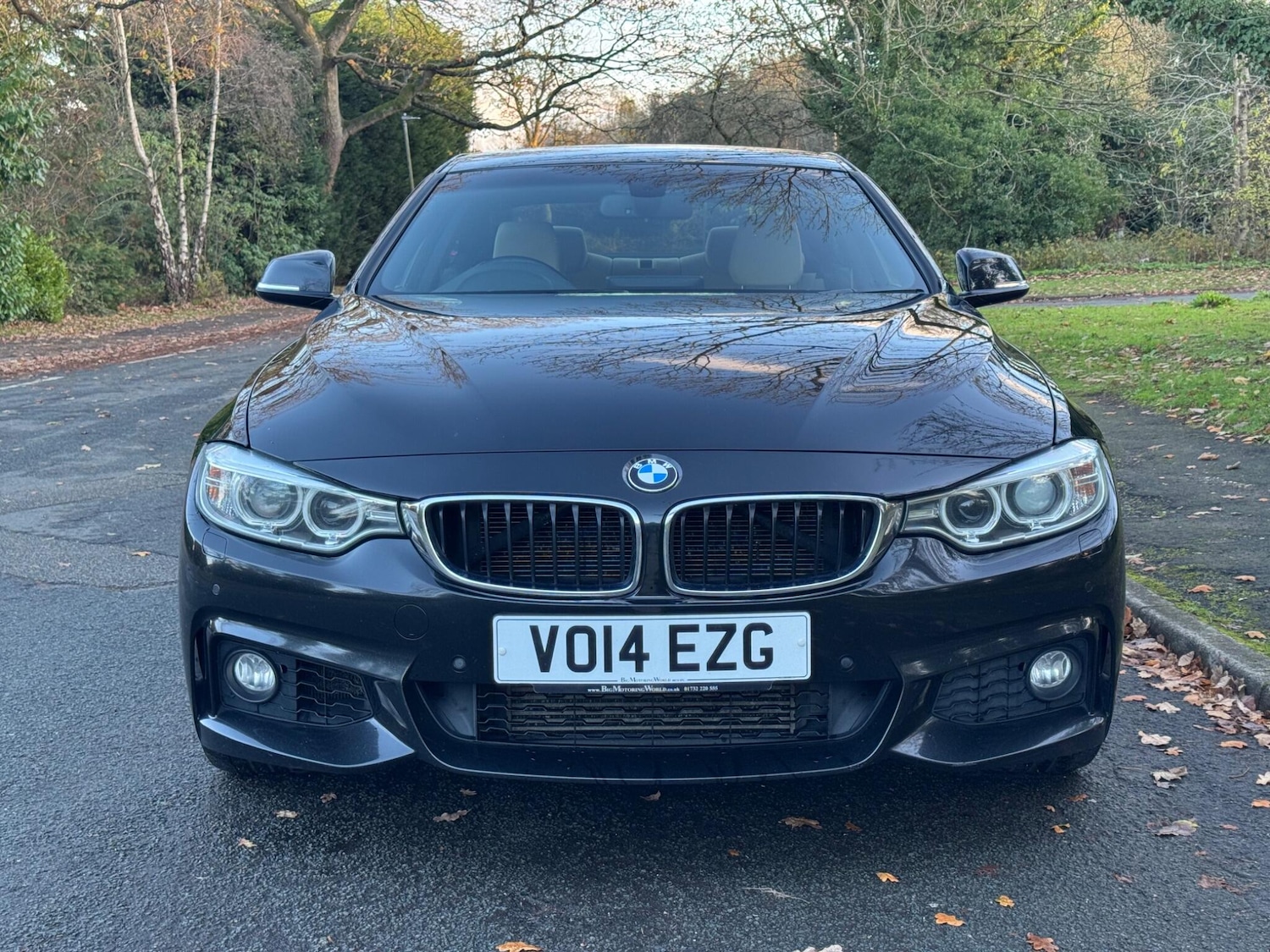 Used BMW 4 Series 2014 for sale - 78039393: Photo 2