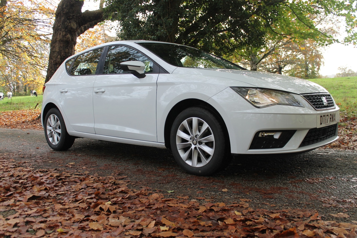 Used SEAT Leon 2017 for sale - 76553813: Photo 23