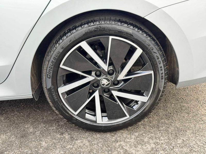 Used Skoda Octavia 2025 for sale - 77575806: Photo 16