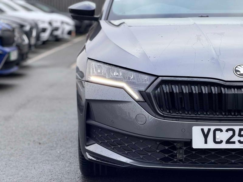 Used Skoda Octavia 2025 for sale - 76960810: Photo 12