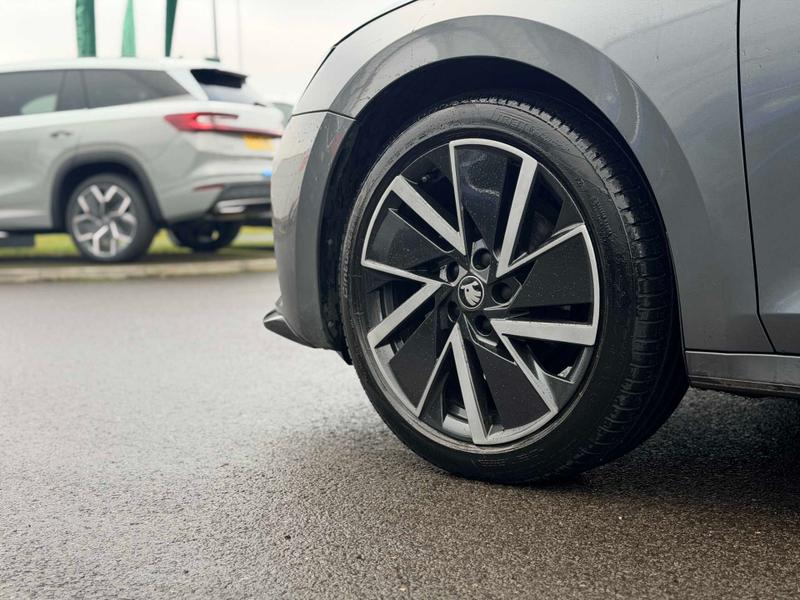 Used Skoda Octavia 2025 for sale - 76960810: Photo 5