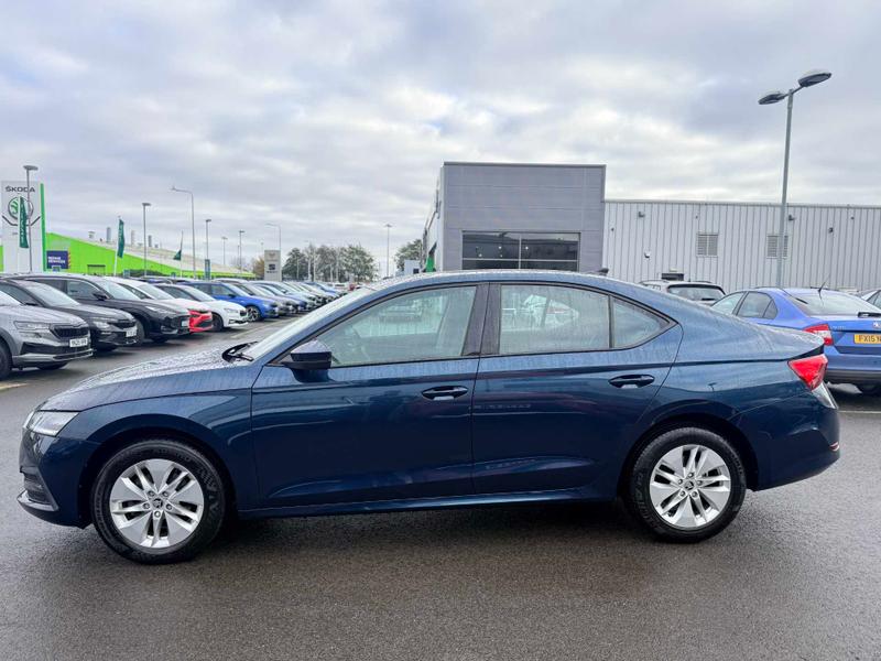 Used Skoda Octavia 2024 for sale - 76519746: Photo 7