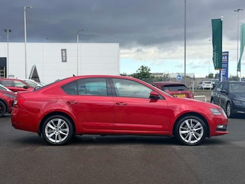 Used Skoda Octavia 2019 for sale - 78314177: Photo