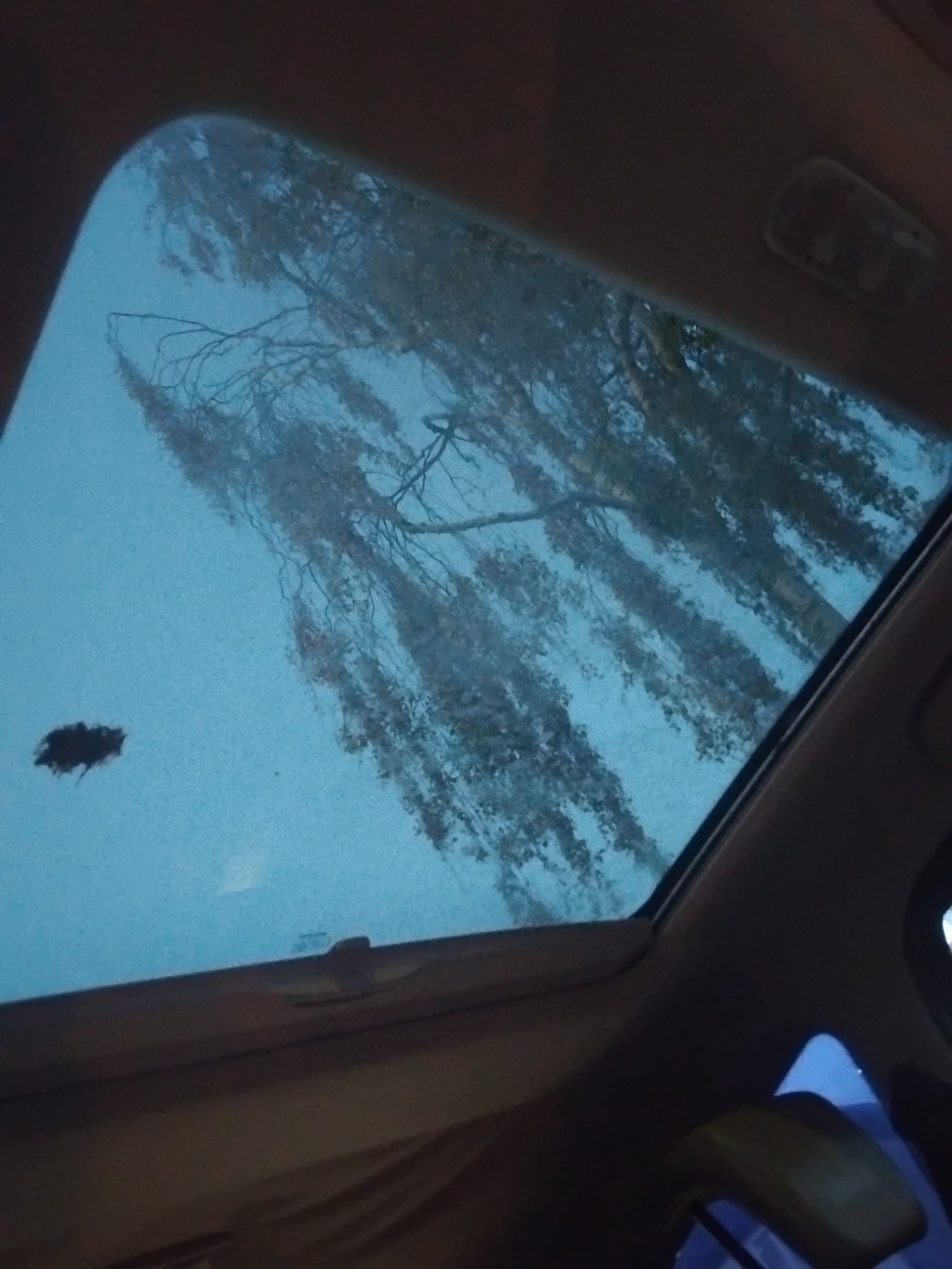 Used Renault Grand Scenic 2005 for sale - 76527517: Photo 14