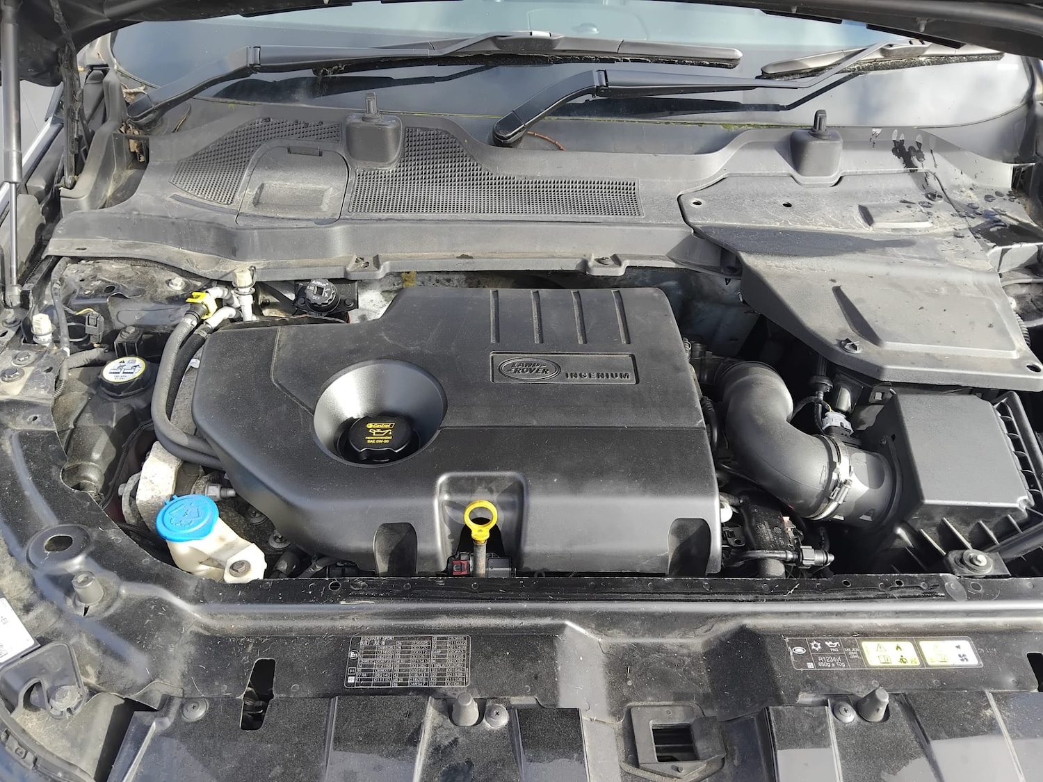 Used Land Rover Discovery Sport 2016 for sale - 77528403: Photo 30