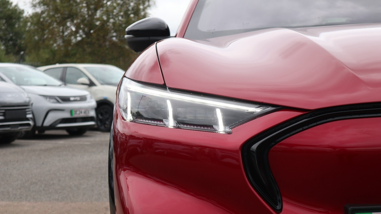 Used Ford Mustang Mach-E 2024 for sale - 76818202: Photo 17