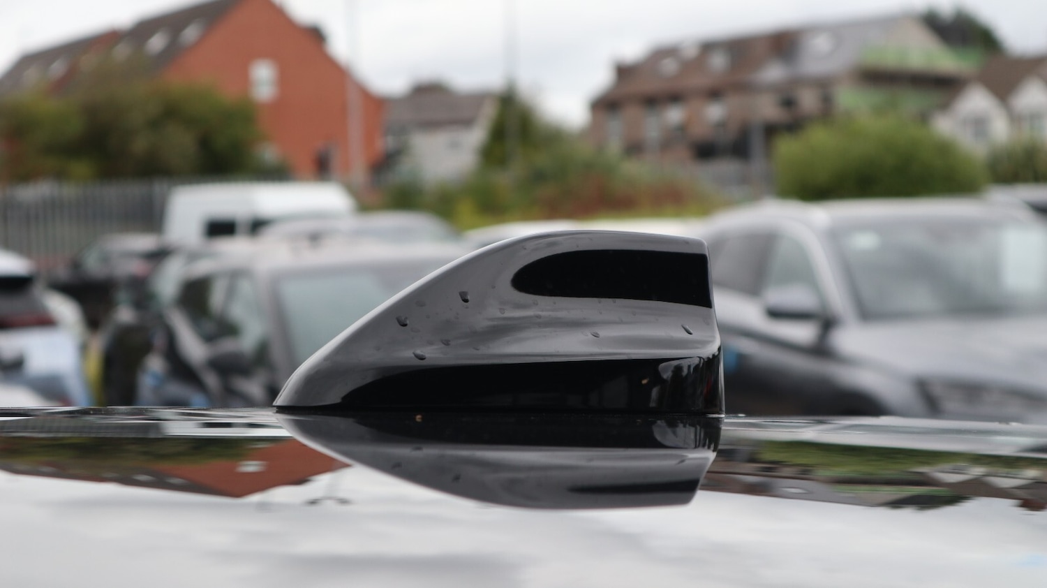 Used Ford Mustang Mach-E 2024 for sale - 76818202: Photo 19