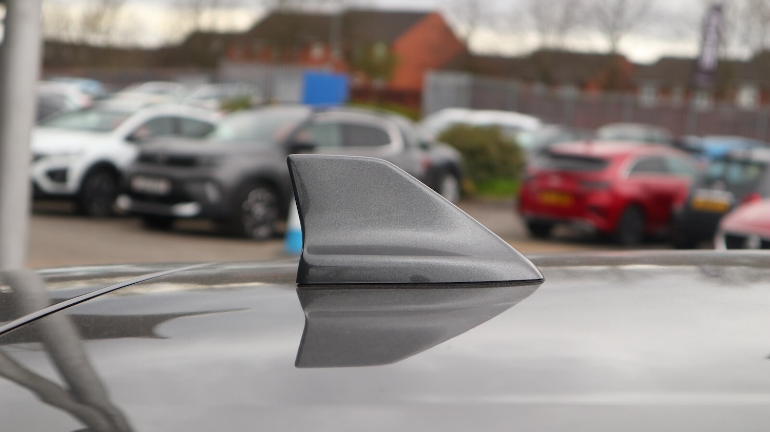 Used Ford Focus 2023 for sale - 77911255: Photo 18