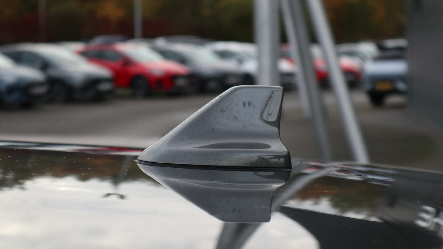 Used Ford Focus 2019 for sale - 76818263: Photo 19