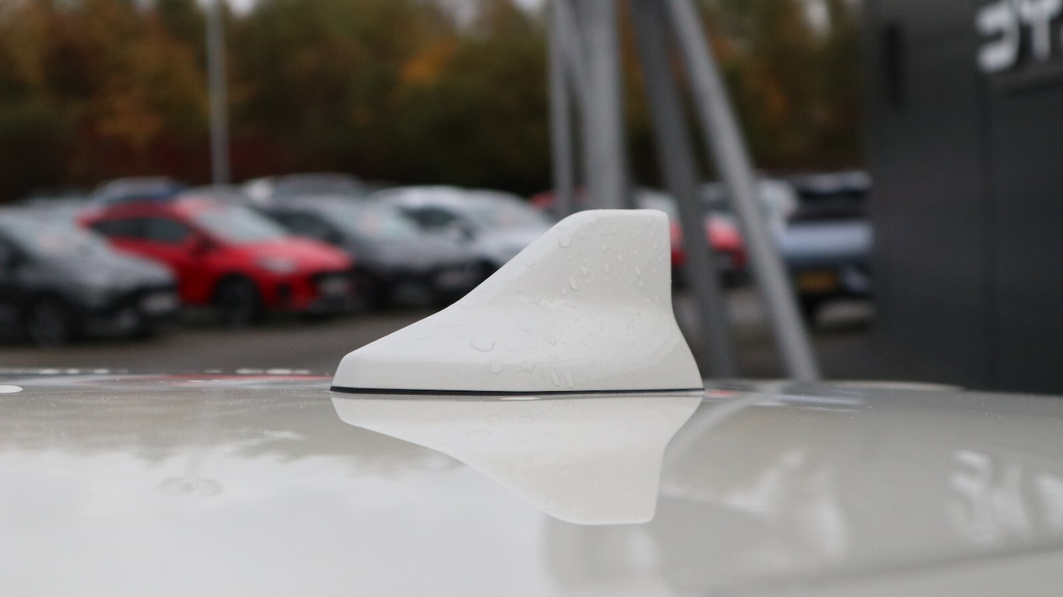 Used BYD Dolphin 2025 for sale - 76818229: Photo 19