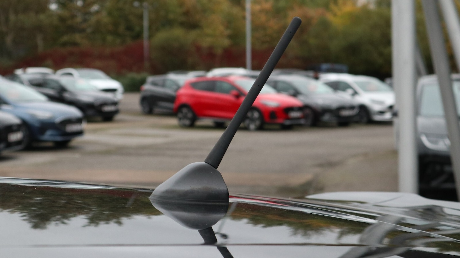 Used Ford Fiesta 2023 for sale - 76818275: Photo 19