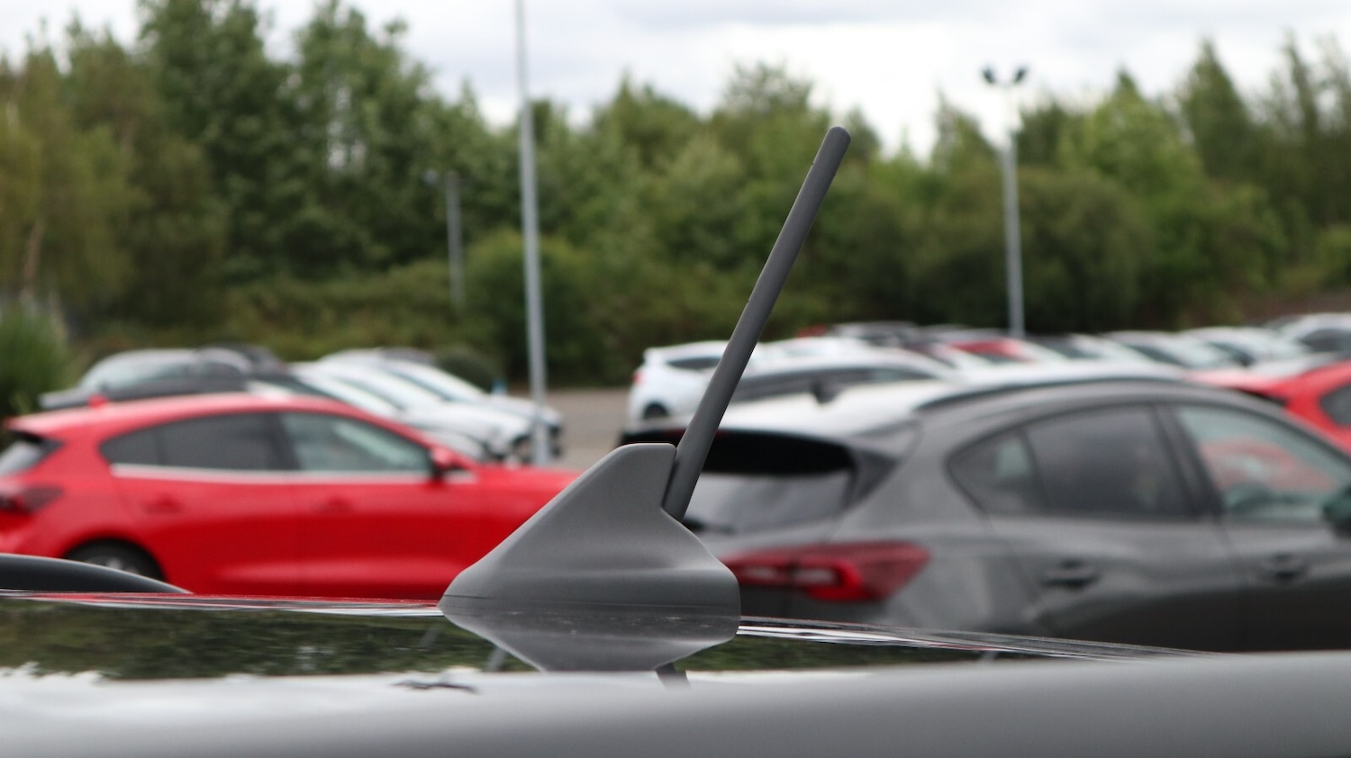 Used Ford Fiesta 2022 for sale - 76818199: Photo 18