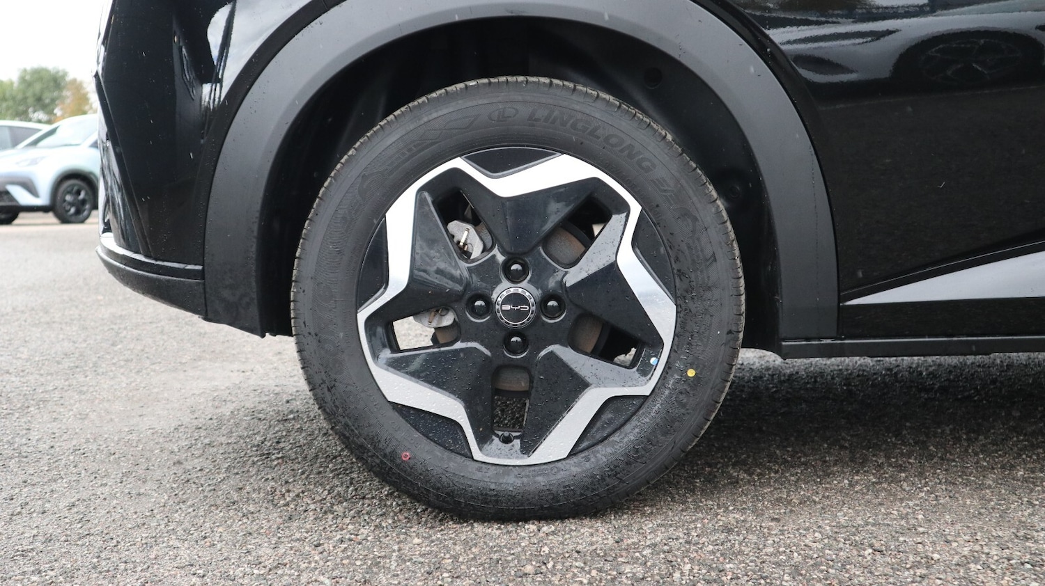 Used BYD Dolphin 2025 for sale - 76818209: Photo 14