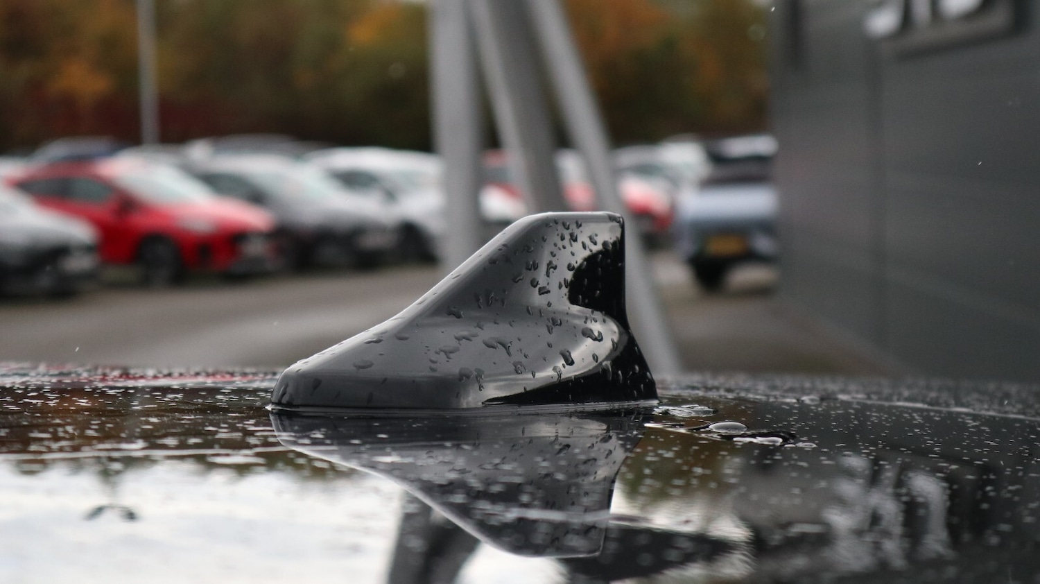 Used BYD Dolphin 2025 for sale - 76818209: Photo 19