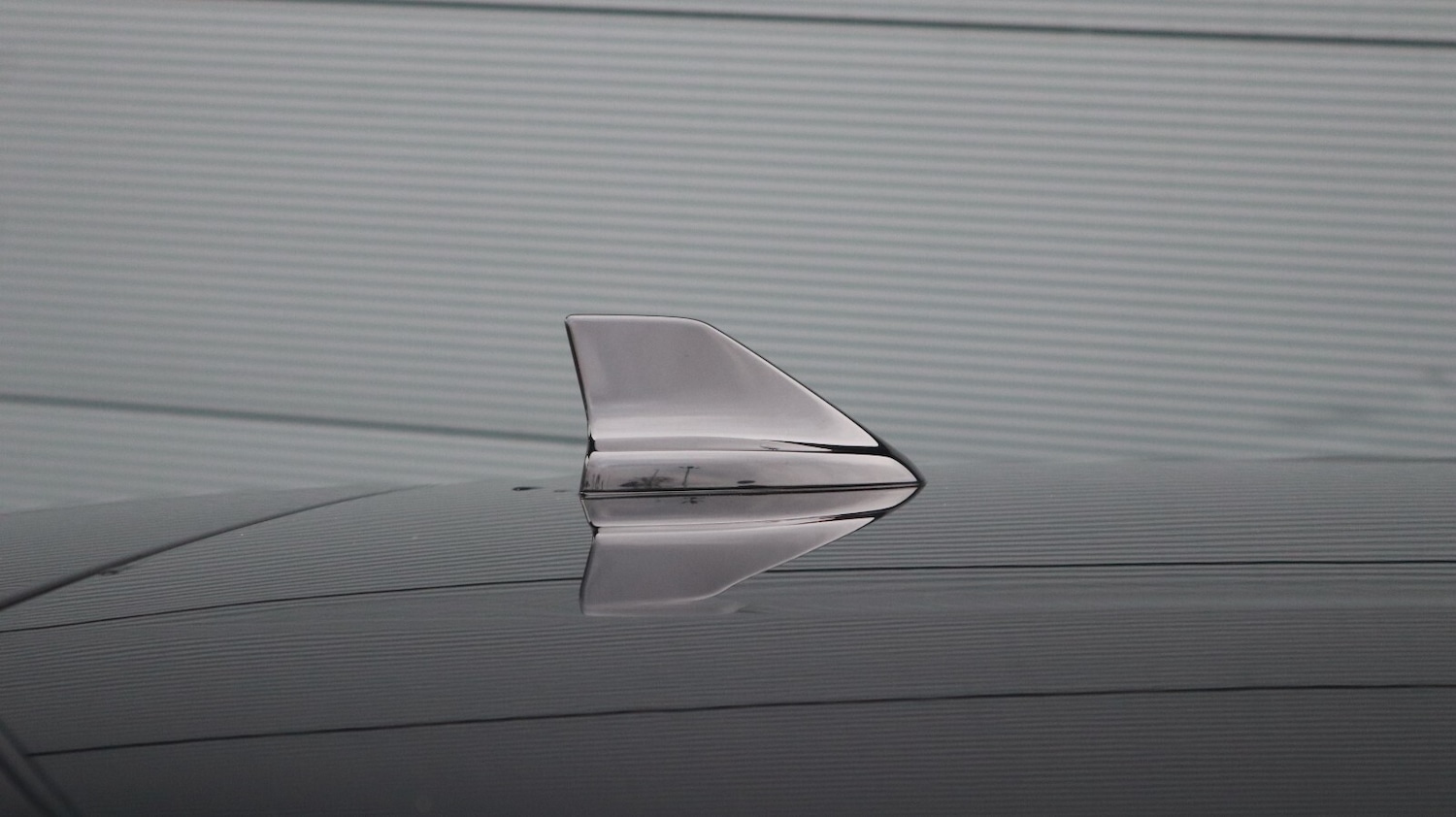 Used Ford Focus 2024 for sale - 77442526: Photo 18