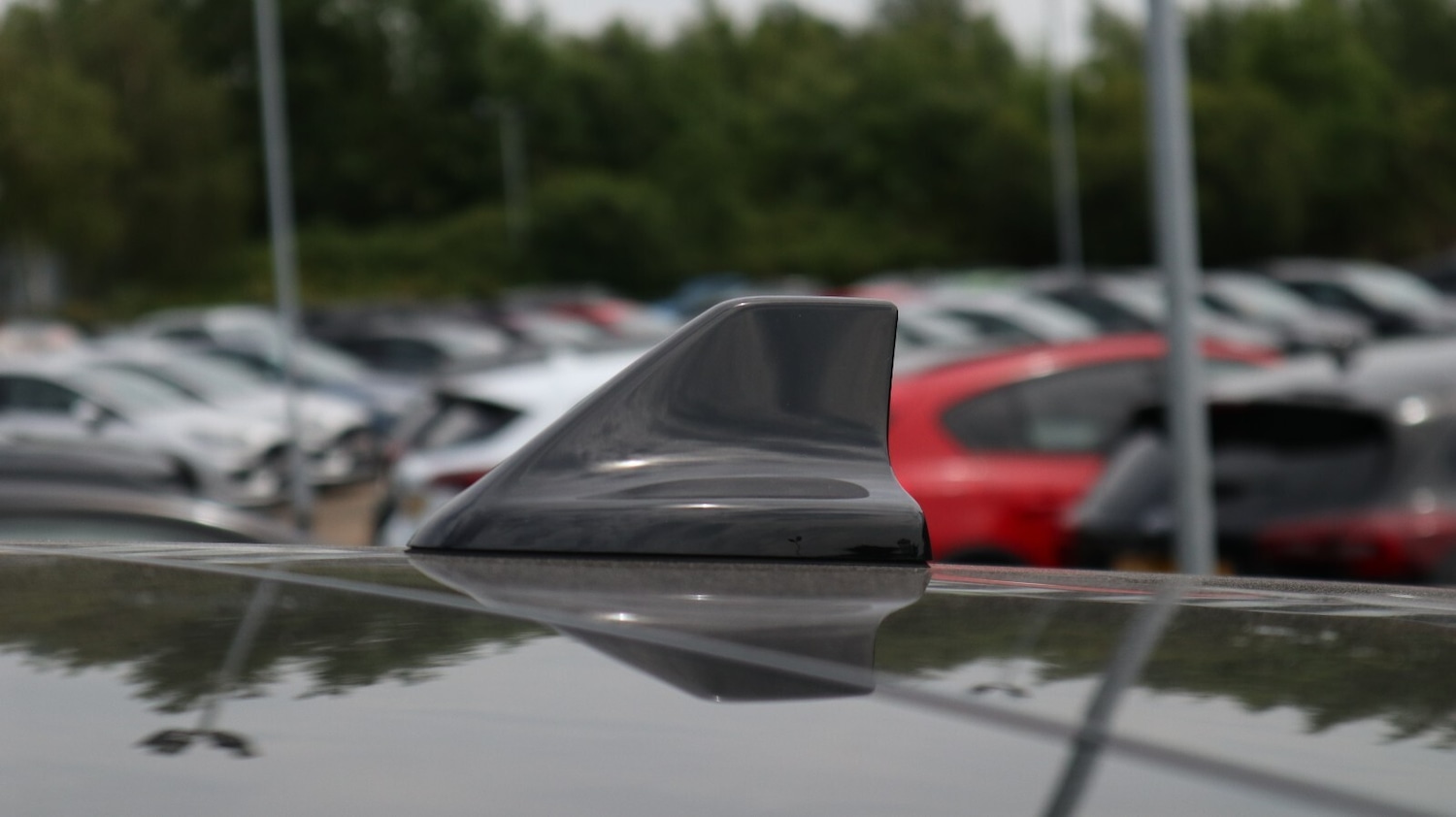 Used Ford Kuga 2022 for sale - 76818153: Photo 20