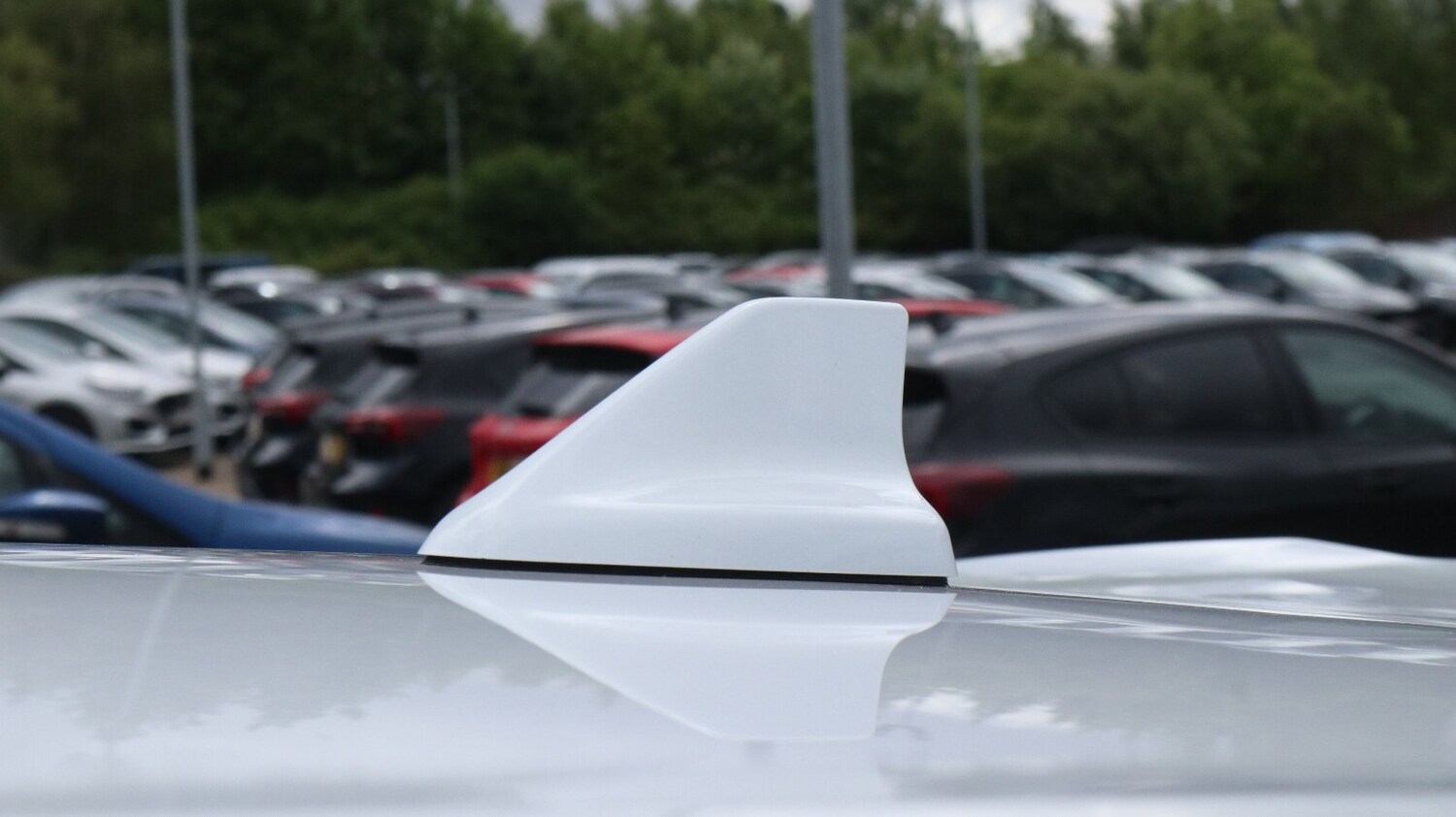 Used Ford Puma 2023 for sale - 76818177: Photo 19