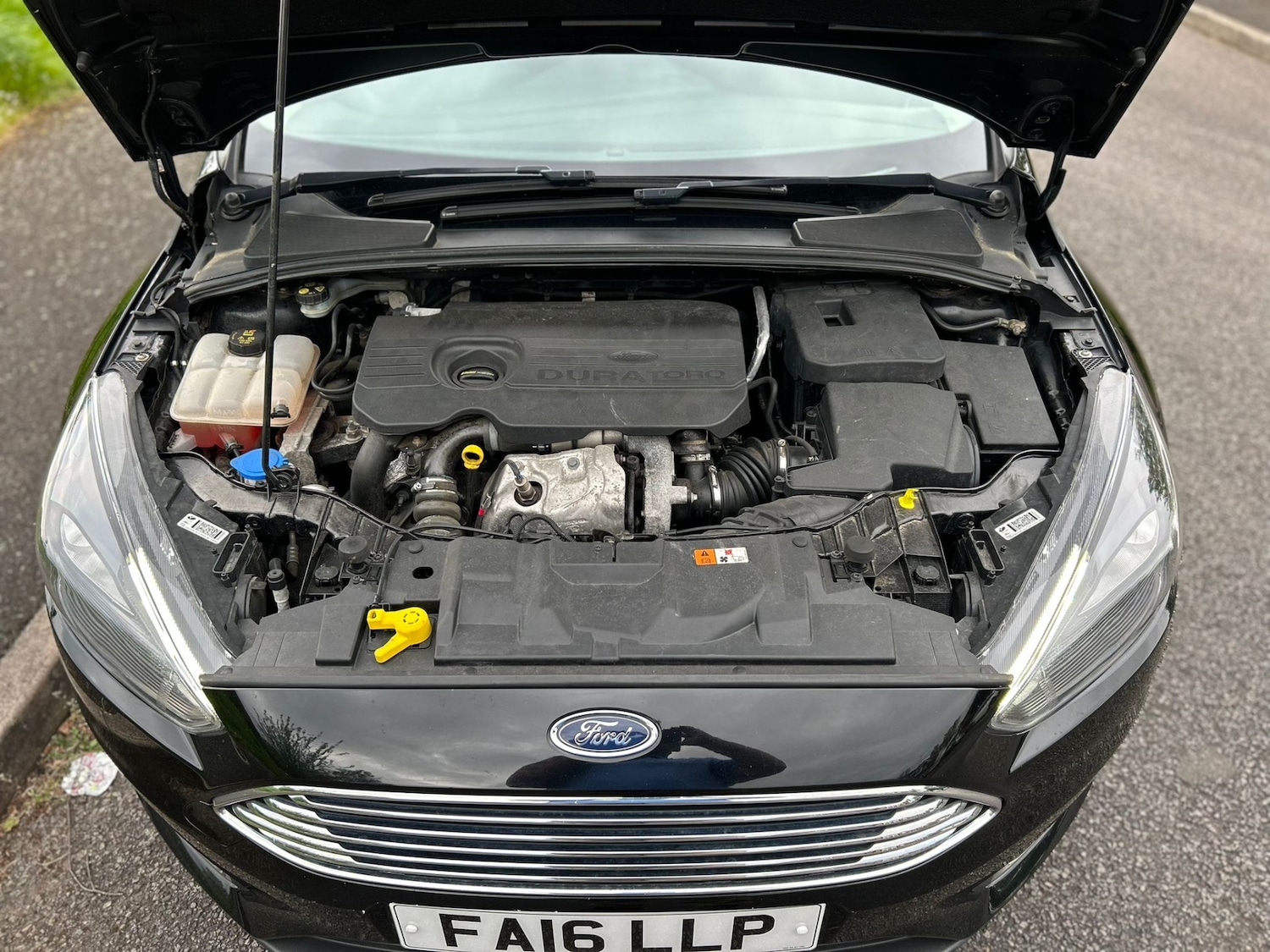 Used Ford Focus 2016 for sale - 76305850: Photo 14