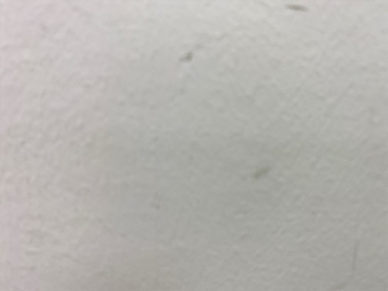 Used Hyundai KONA 2022 for sale - 77280515: Photo 63