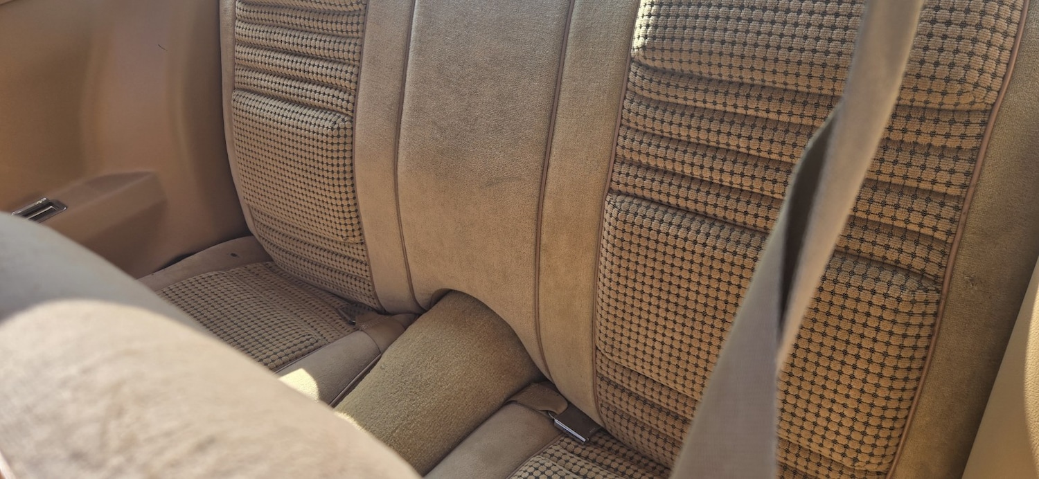 Used Pontiac Firebird 1982 for sale - 76510939: Photo 16