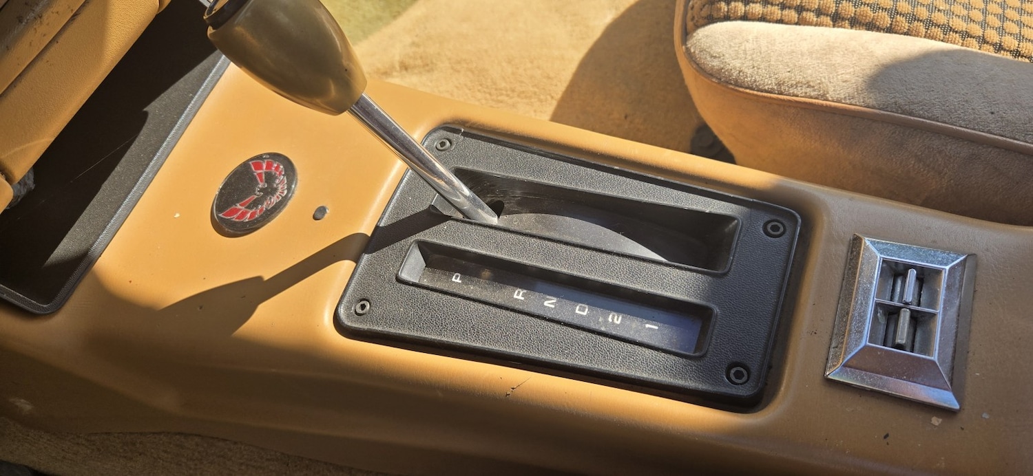 Used Pontiac Firebird 1982 for sale - 76510939: Photo 17