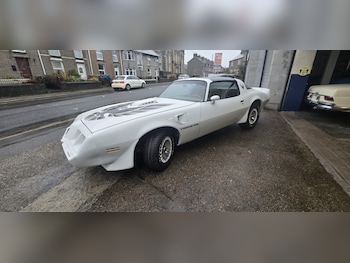 Used Pontiac Firebird 1982 for sale - 76510939: Photo