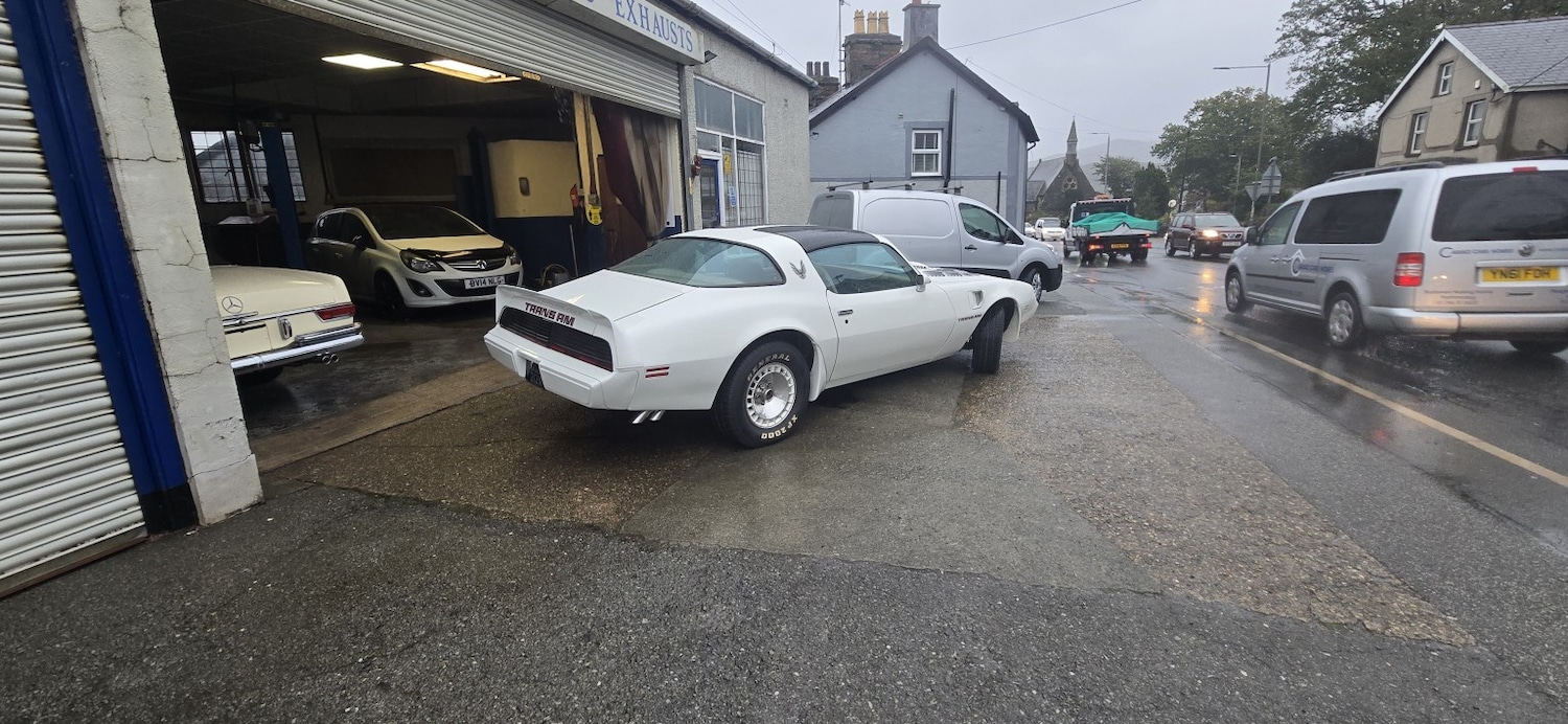 Used Pontiac Firebird 1982 for sale - 76510939: Photo 3